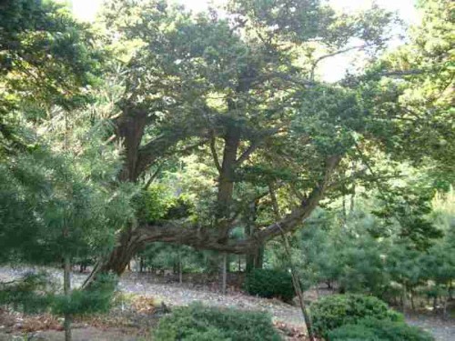 幕別町字日新の土地画像 幕別町字日新の土地画像