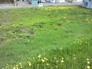 音更町新通3丁目3番2土地画像 音更町新通3丁目3番2土地画像