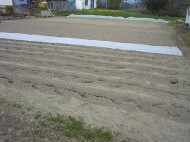 音更町新通15丁目7番6の土地画像 音更町新通15丁目7番6の土地画像