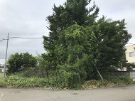 宝町画像 宝町画像